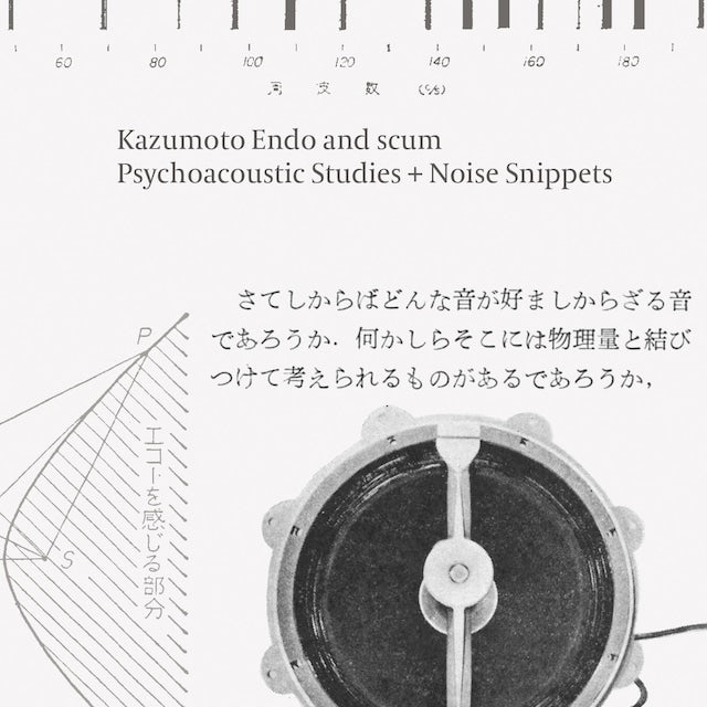 Kazumoto Endo and scum - Psychoacoustic Studies + Noise Snippets(CD)